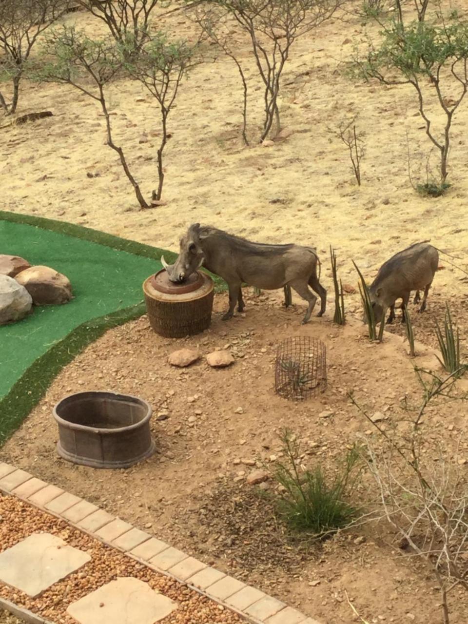 Windhoek Rural Self Catering Voigtland Bagian luar foto