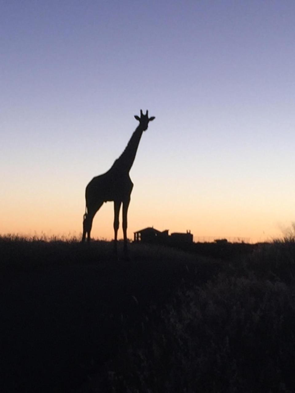 Windhoek Rural Self Catering Voigtland Bagian luar foto